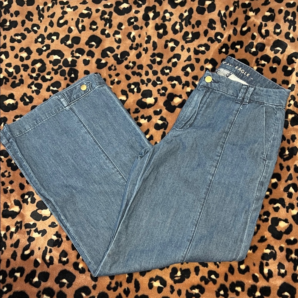 American Eagle Baggy Jeans! NWOT